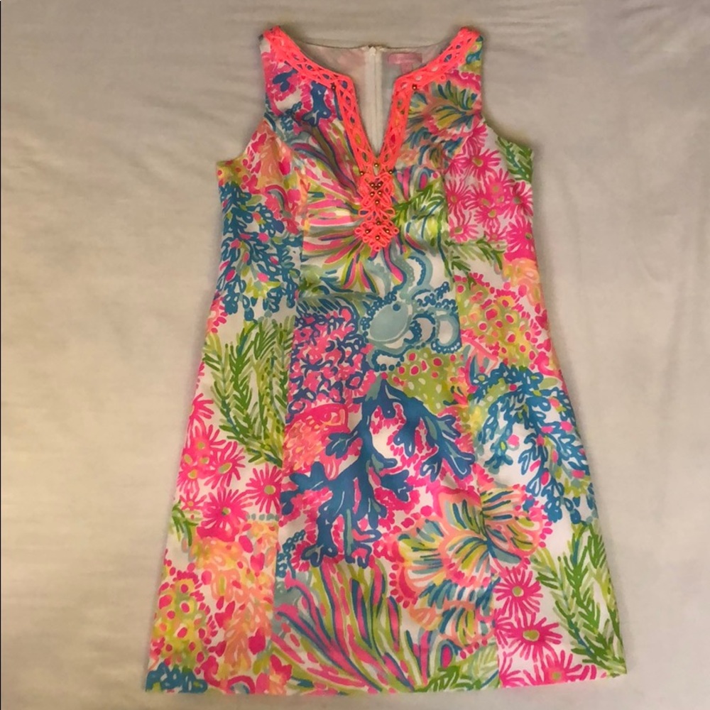 Lily 🧡💙Lovers Coral
